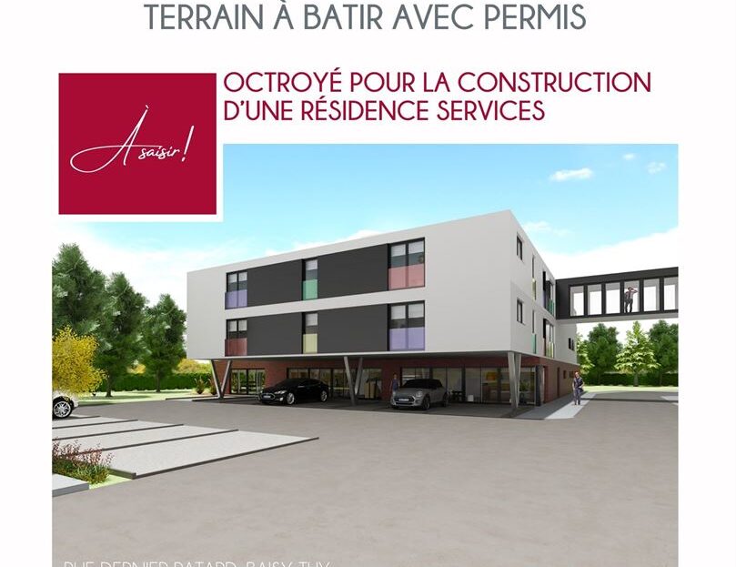 video image