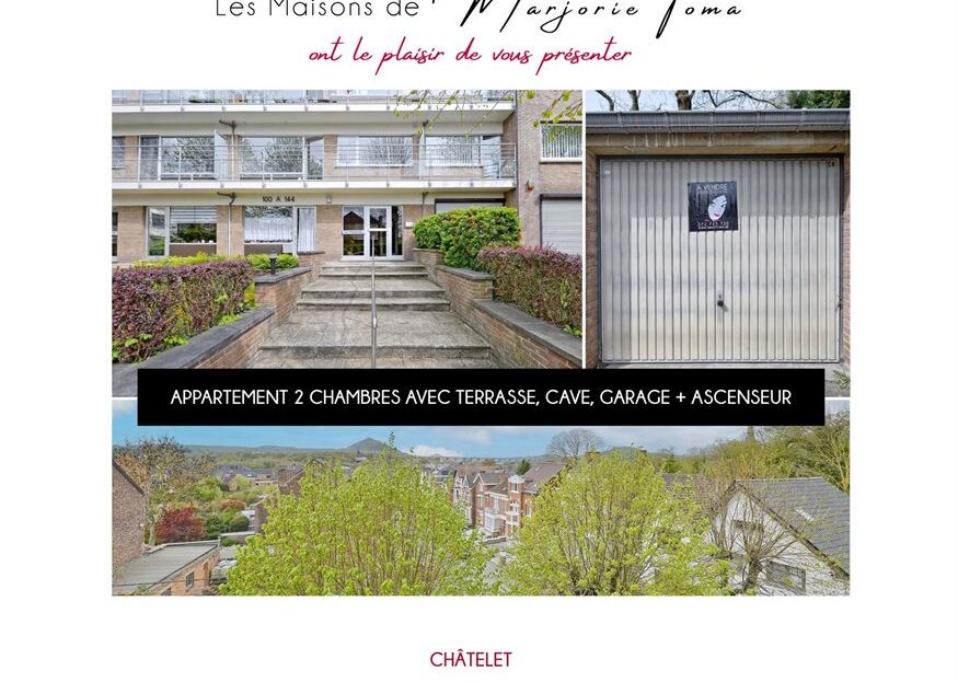 video image